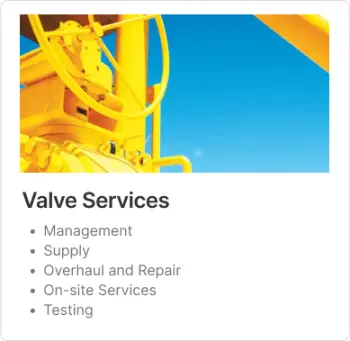 Valve Services button with the following services bullet pointed valve management, valve supply, overhaul and repair, on-site services and testing